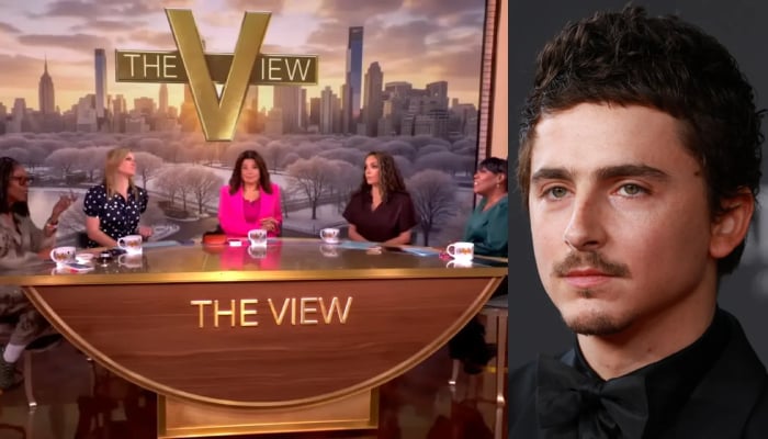 ‘The View cast slams Timothée Chalamet over opera, ballet comments