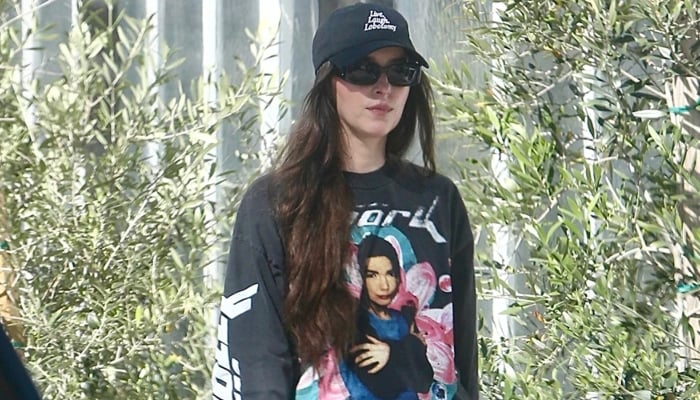 Dakota Johnson goes low-key during morning walk in LA: Check inside