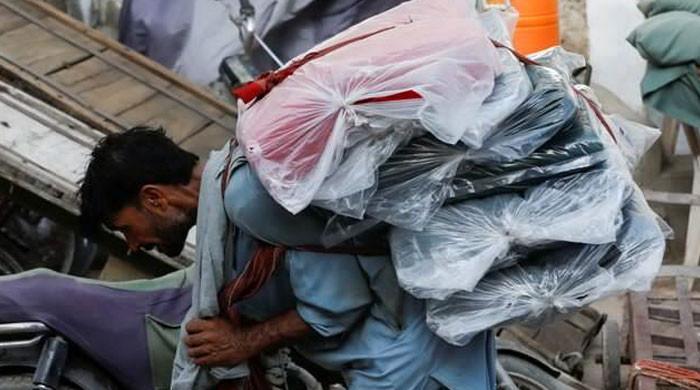 Uplift budget diversion, IMF relief on petrol levy to cushion future oil price shocks