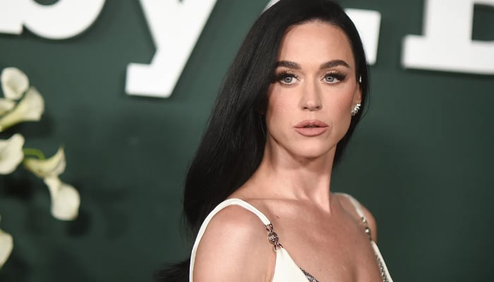 Katy Perry response to struggling fan ignites heated online backlash