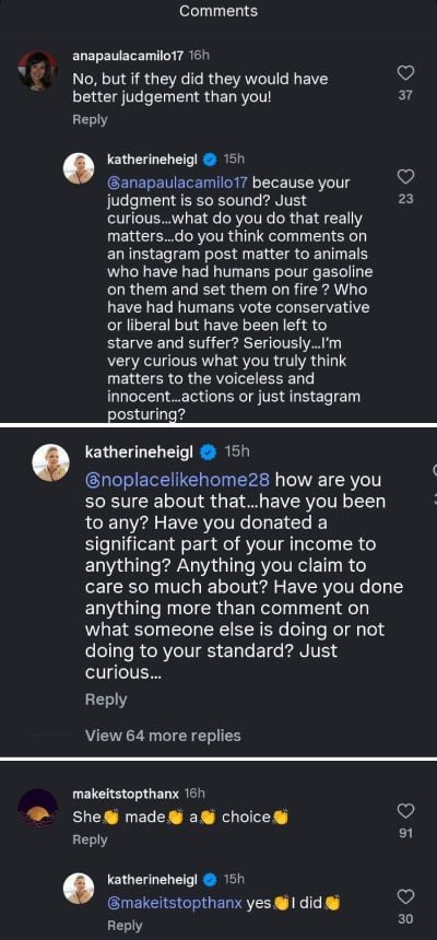 Kathrine Heigl feuds with critics of Trump-backed dog rescue event