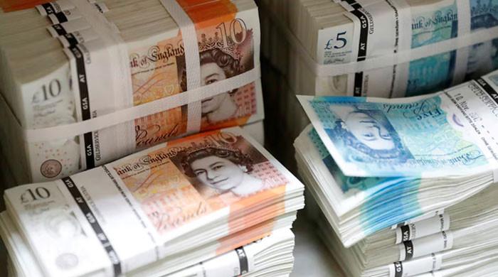 Wildlife to replace humans on next series of UK banknotes