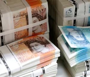 Wildlife to replace humans on next series of UK banknotes