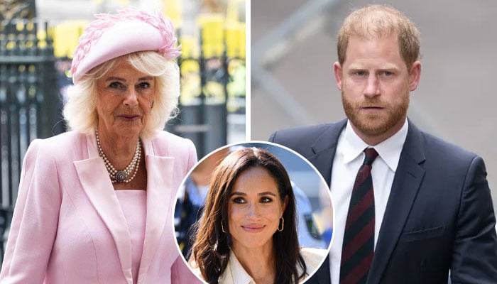 Queen Camilla’s quiet warning about Meghan as Harry left in tough spot