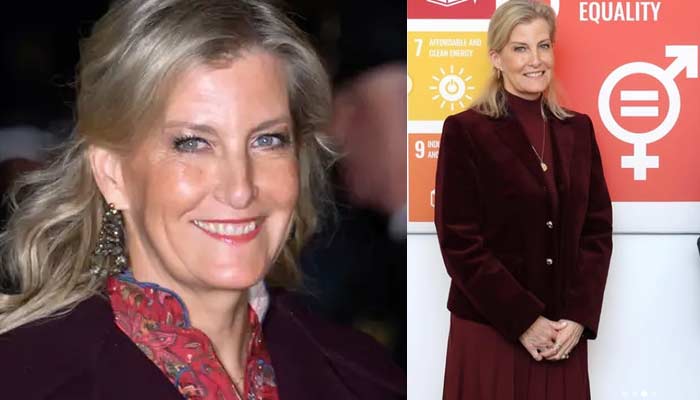 Duchess Sophie drops King Charles message in US amid anger