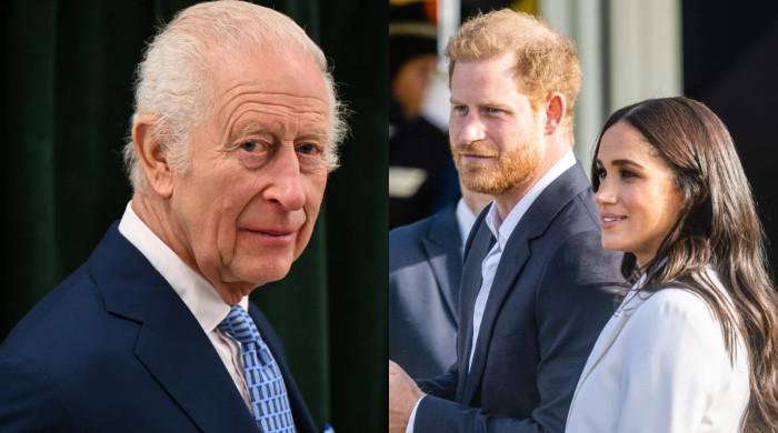King Charles, royal family 'raise eyebrows' on Harry, Meghan announcement 