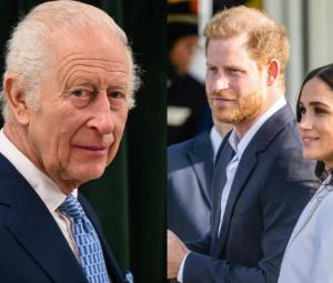 King Charles, royal family 'raise eyebrows' on Harry, Meghan announcement 