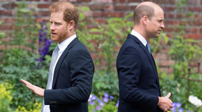 Prince William gives tension to Harry about royal future: 'Duke is worried'