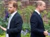 Prince William gives tension to Harry about royal future: 'Duke is worried'