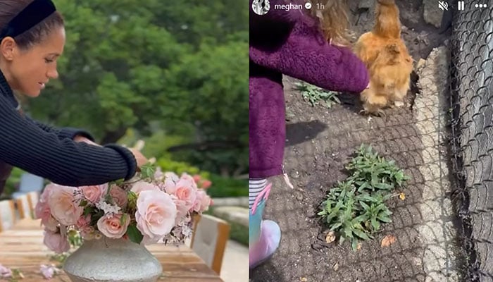 Prince Harry calls Meghan’s roses beautiful in surprise video