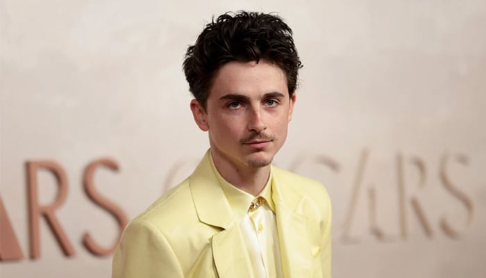 Timothée Chalamet third Oscars snub raises questions about his Hollywood trajectory