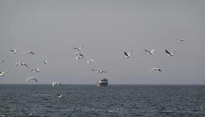 Birds fly near a boat in the Strait of Hormuz amid the US-Israeli conflict with Iran, as seen from Musandam, Oman, March 2, 2026.— Reuters/File