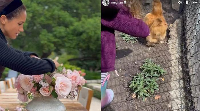 Prince Harry calls Meghan's roses 'beautiful' in surprise video