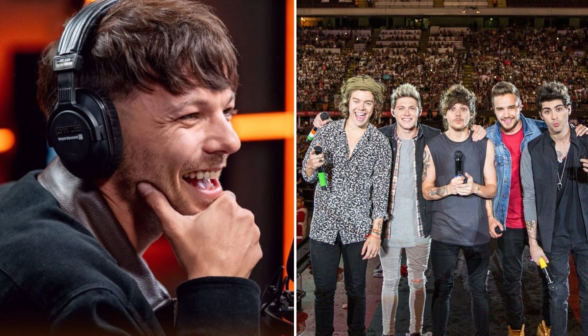 The former One Direction star says What Makes You Beautiful was corny and eggy