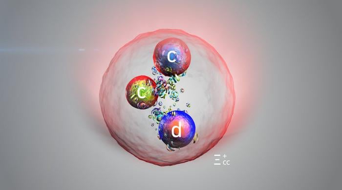New particle discovered by Large Hadron Collider