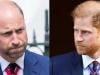 Prince William decides to block Harry's bid to throne: 'Shocking move'