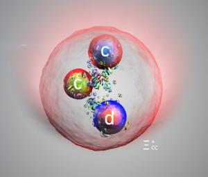 New particle discovered by Large Hadron Collider