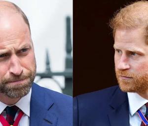 Prince William decides to block Harry's bid to throne: 'Shocking move'