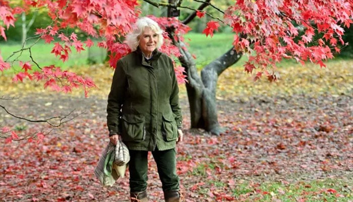 Queen Camilla’s gnome fever inspires Chelsea’s celebrity garden takeover