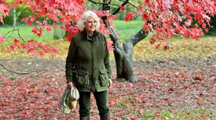Queen Camilla's gnome fever inspires Chelsea's celebrity garden takeover