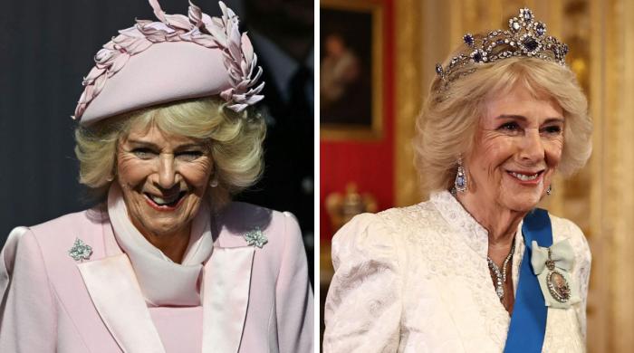 Royal fans miss out Camilla's expensive ink during Nigeria State Banquet