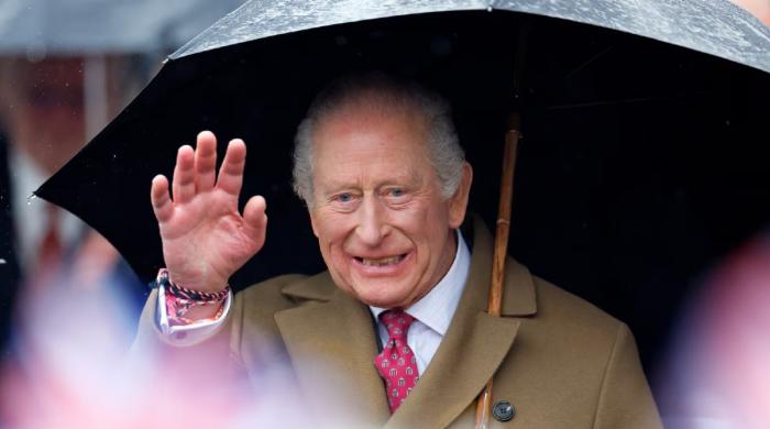 Buckingham Palace drops King Charles video message: 'Hopeful future'