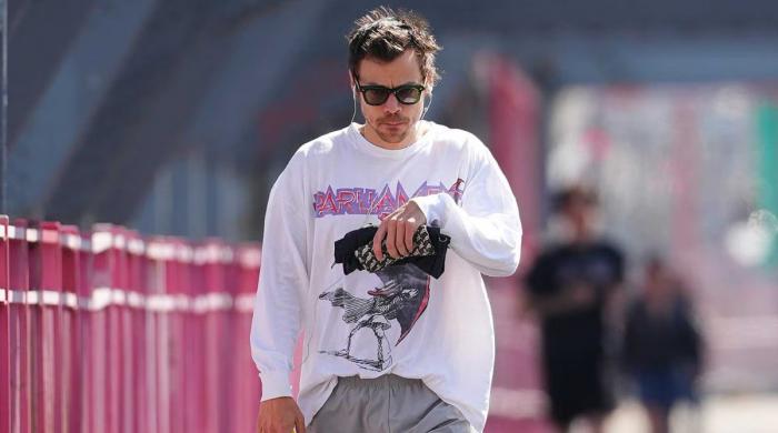Harry Styles lashes out at paparazzi after persistent stalking 