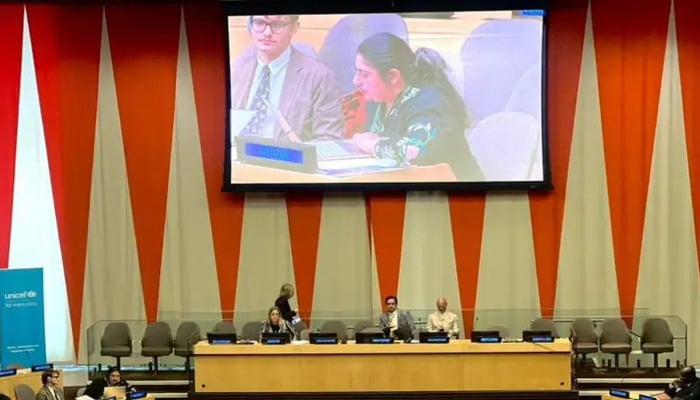 Pakistan’s Second Secretary Aleena Majeed speaks at a UN event in New York on March 18, 2026. — X/PakistanUN_NY