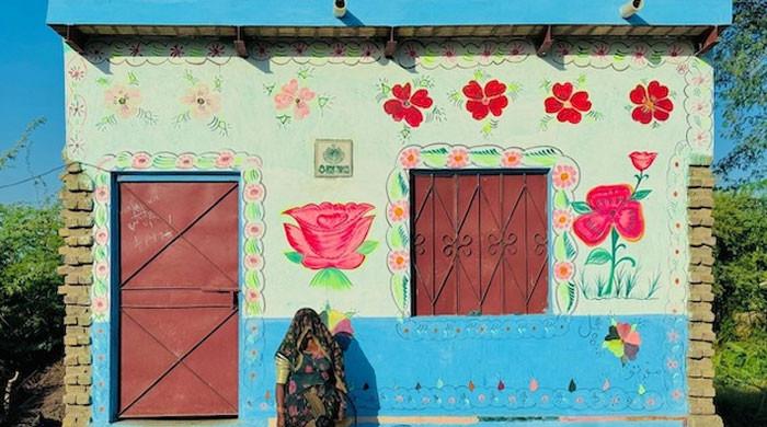 Running on sunshine: Pakistan's solar boom to tide over Middle East energy crisis