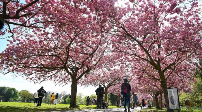 Spring has officially arrived: Vernal equinox marks start of astronomical spring