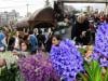 Nowruz begins in Iran as conflict with US-Israel reaches third week