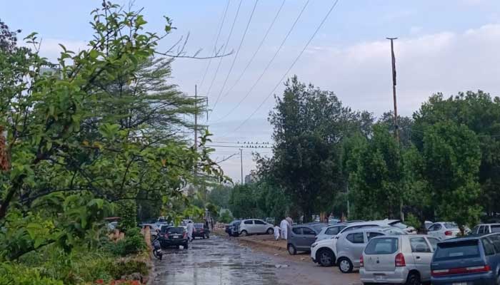 Aftermath of early morning rain in Karachi on March 21, 2026. — Geo.tv