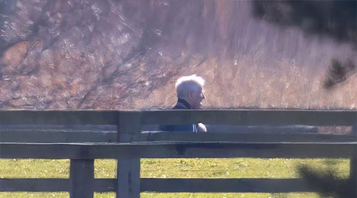 Andrew Mountbatten-Windsor unaffected with dogs in latest public appearance