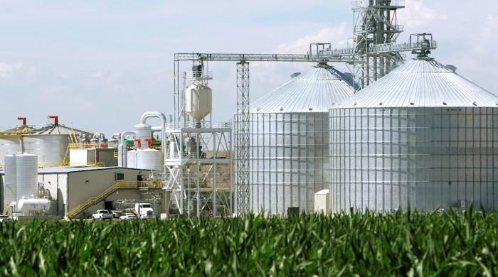 Ex-finance minister calls for measured ethanol policy to cut fuel costs