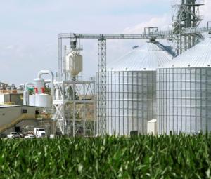 Ex-finance minister calls for measured ethanol policy to cut fuel costs