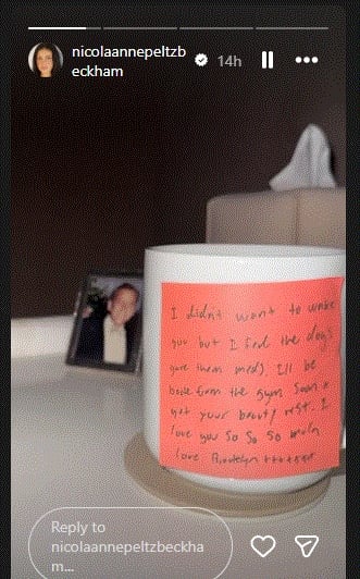 Nicola Peltzs official Instagram post