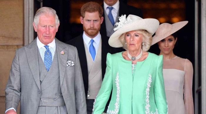 King Charles issues statement as Camilla, Harry rift worsens: 'No reunion'