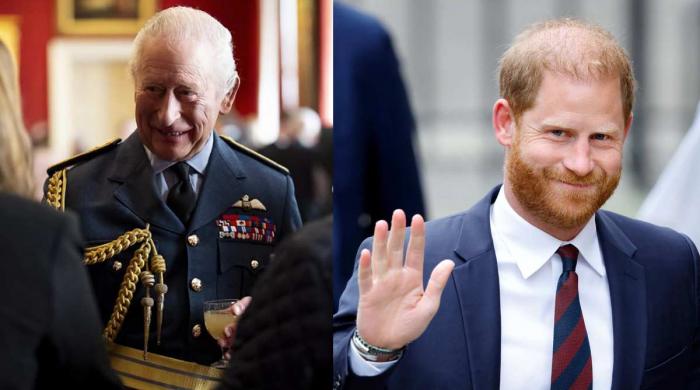 Royal family shares update as Prince Harry unveils UK plan