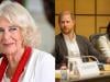 Queen Camilla daring move shocks Prince Harry after big announcement  