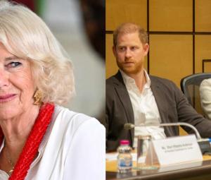 Queen Camilla daring move shocks Prince Harry after big announcement  