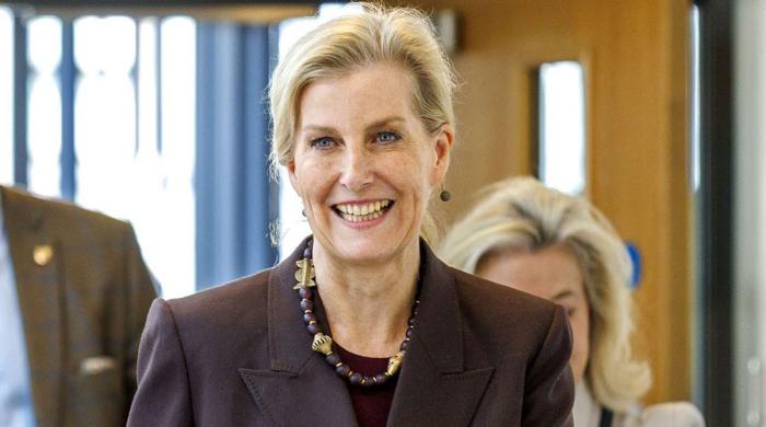 Duchess Sophie performs key role on King's behalf in Palace meeting