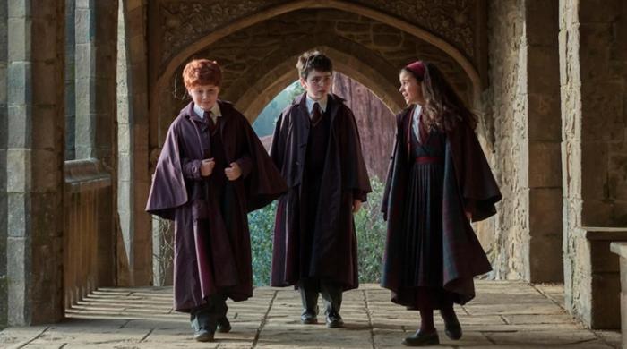 ‘Harry Potter' reboot: Fans are crying, arguing and obsessed