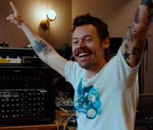 Harry Styles fans divided over surprising discovery about singer