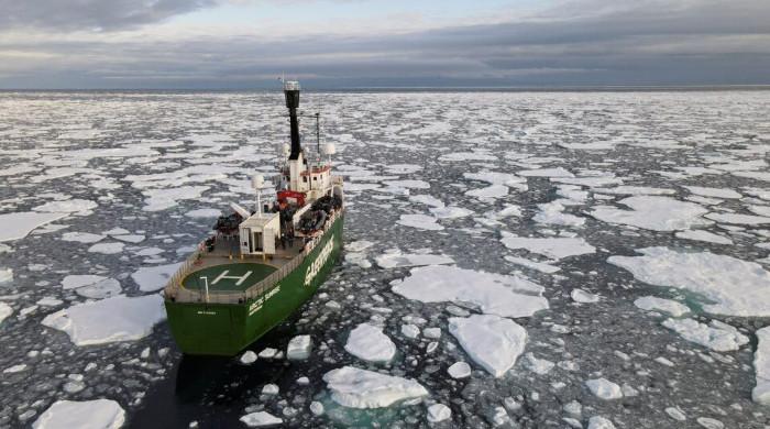 Arctic sea ice at lowest level ever this winter