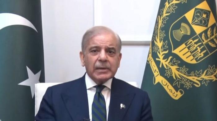 PM Shehbaz rejects summary to hike petrol, diesel prices, again