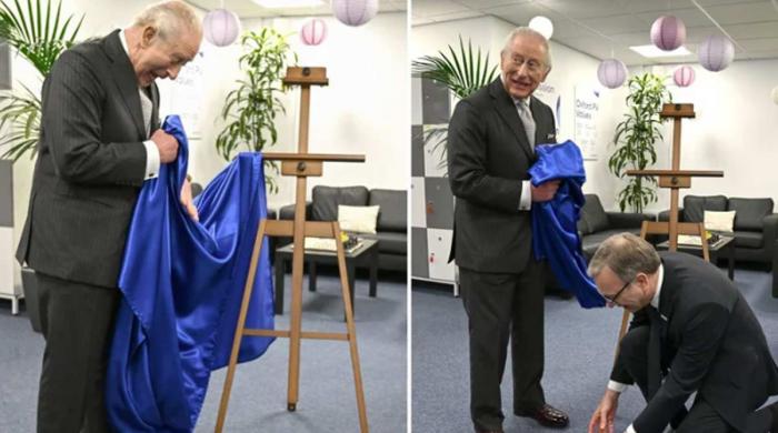 Palace issues statement as King Charles suffers 'disaster' moment