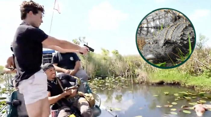 Who is Clavicular? Lookmaxxing influencer arrested in Florida after shooting alligator 