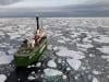 Arctic sea ice at lowest level ever this winter