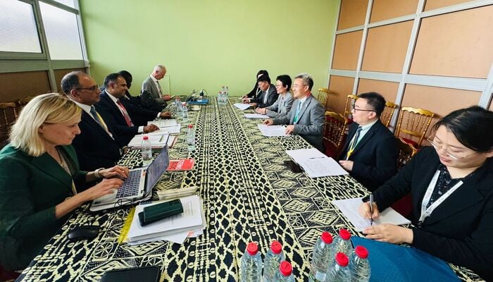 A picture taken during the ministerial meetings in Cameroon. — Geo.tv