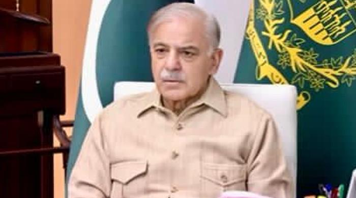 PM Shehbaz again urges public to avoid unnecessary travel, support austerity drive